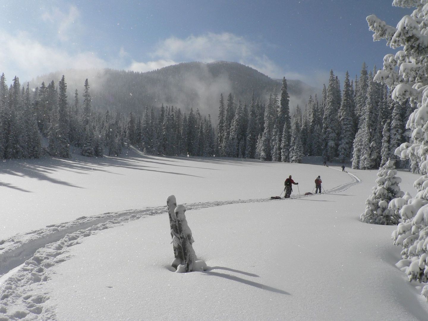 Snowshoers crossing deep powder beneath snow-covered Colorado evergreens